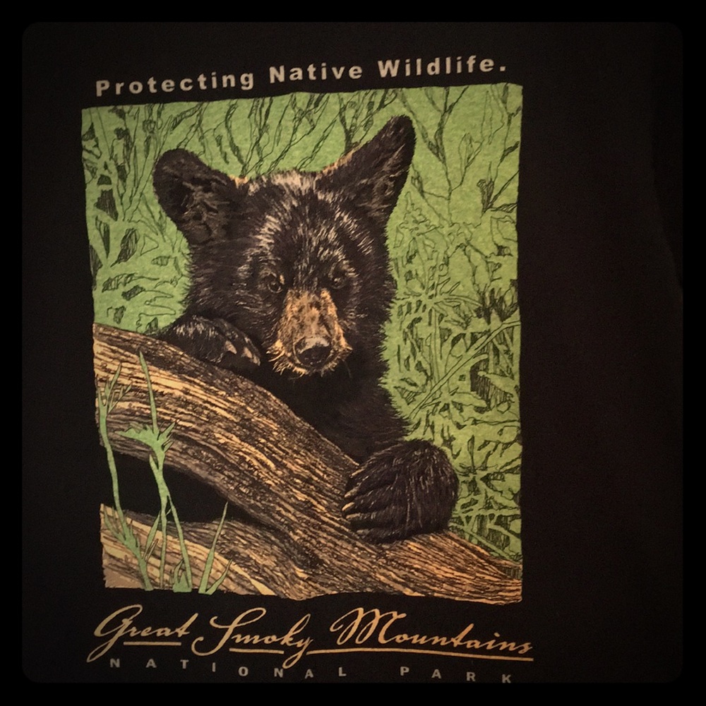 Graphic Tee Smokey mountain state park merch